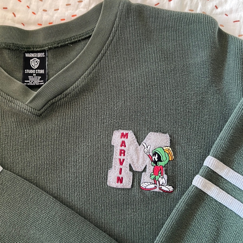 Warner Bros. Green Crew Neck Sweater